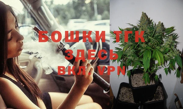 PSILOCYBIN Елизово
