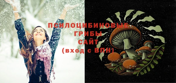 герыч Ельня