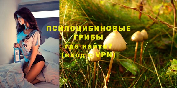 герыч Ельня