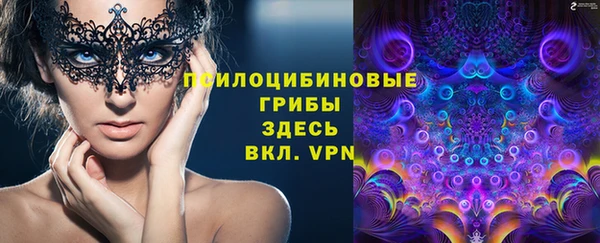 хмурый Елабуга